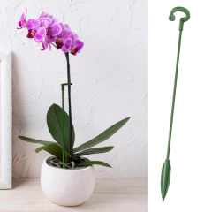 Kit com 10 Estacas para Plantas Varetas de 18 cm para Suporte e Crescimento! - comprar online