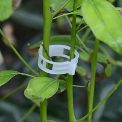 Kit 10 Abraçadeiras para Plantas Cabos Multiuso Reutilizável na internet