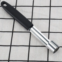 Removedor Tira Talo de Fruta em aço inox na internet