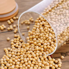 Kit 4 Potes Herméticos Vidro Tampa Bambu 15 x 6,5 cm 400ml - La Criativa | Loja De Presentes Criativos, Utilidades Domésticas, Produtos Para Casa