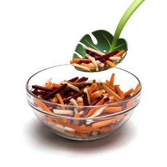 Colher para Macarrão Jungle Spoon Colher Planta Monstera - loja online