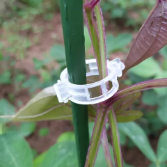 Kit 10 Abraçadeiras para Plantas Cabos Multiuso Reutilizável - La Criativa | Loja De Presentes Criativos, Utilidades Domésticas, Produtos Para Casa