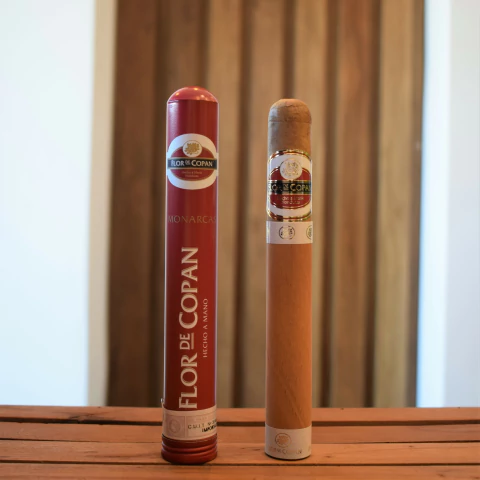 FLOR DE COPAN - MONARCA TUBO
