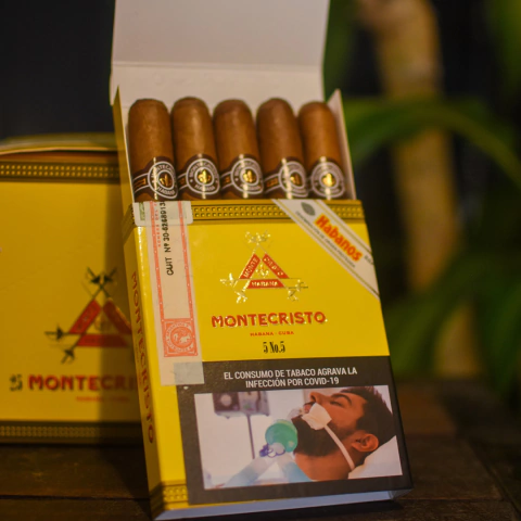 MONTECRISTO - NÚMERO 5 (CAJA x5)