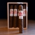 HOYO DE MONTERREY - LE HOYO SAN JUAN (CAJA x10) en internet