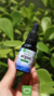Óleo de Argan 30ml - comprar online