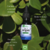 Óleo de Argan 30ml na internet