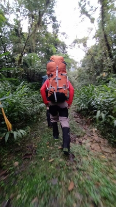 Mochila Goretta 60 lt - loja online