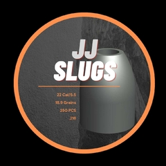 Chumbo Slug 5.5 / 18,9 Grains / .218/ 250 Unidades