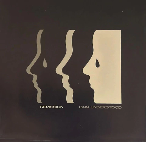 REMISSION - PAIN UNDERSTOOD 7" - comprar online