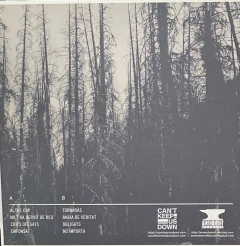 COLLAPSE - ENFONSAT VINIL 12" na internet