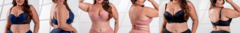 Banner da categoria PLUS