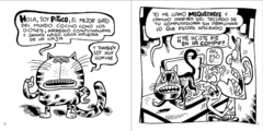 Casting de gatos