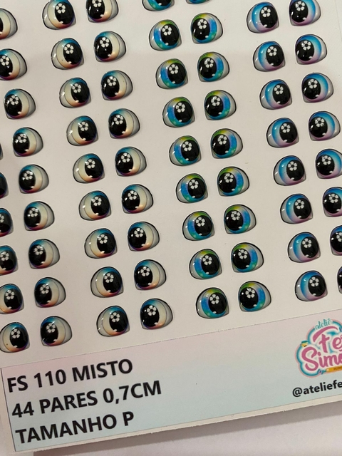 FS 110