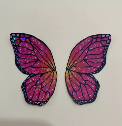 FS 20 ASA BARBIE FADA