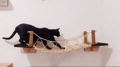 Ponte Medieval na internet
