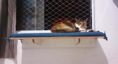 Prateleira de descanso - comprar online