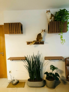 Parquinho 5 peças em Freijó