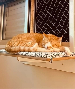 Prateleira de descanso