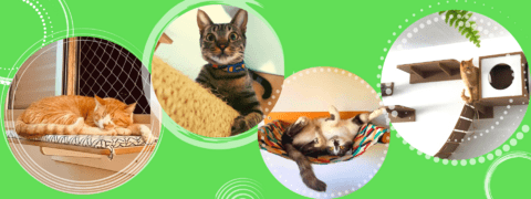 Carrusel Arranhadores  e Playgrounds para gatos | Casinhas e Cia Atelier