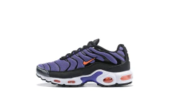 Air Max Plus 1 - loja online