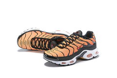 Air Max Plus 1