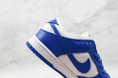 Imagem do Nike Dunk SP Low ''Kentucky''