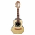 Cavaco Acústico Giannini Raiz CS1 FAIA NS