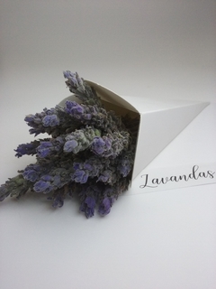 20 conitos para flores, almendras, confites SV11 blancos - comprar online