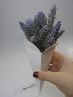 20 conitos para flores, almendras, confites SV11 blancos