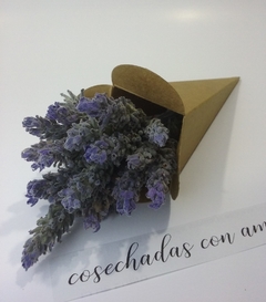 50 Conitos Para flores, Almendras, Confites SV11 color madera - comprar online