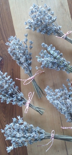 1 Ramito mini con 20 flores secas de lavanda - comprar online