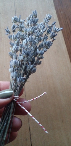 1 Ramito mini con 20 flores secas de lavanda