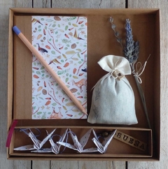 Pack 2 - AROMA - comprar online