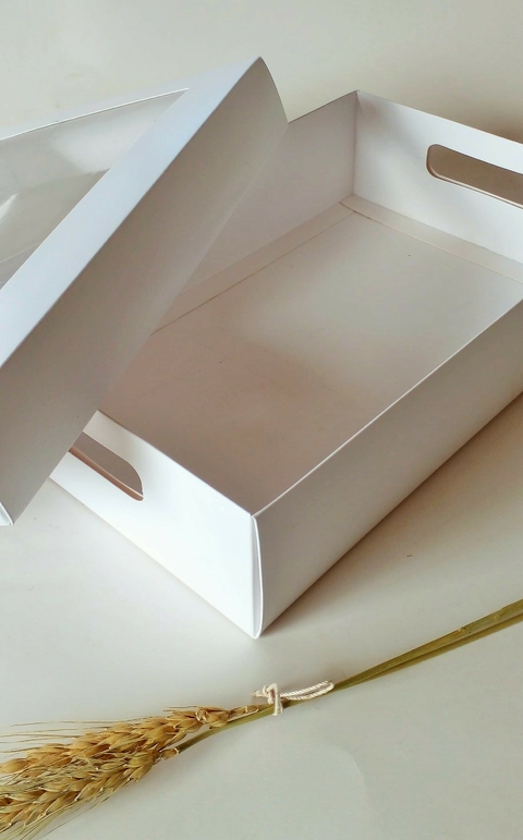 12 bandejas con tapa de 24.5 x 15.5 x 6 cm BLANCAS TB6