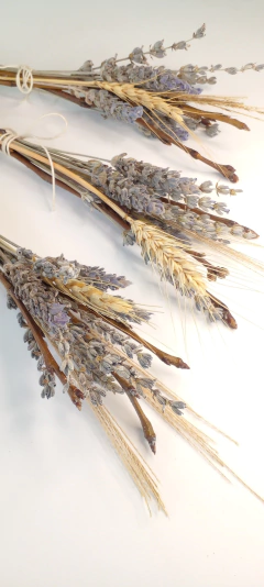 12 Ramos de flores secas de Lavandas, trigo y ramitas - comprar online