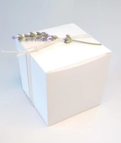 20 Cajas de 8 x 8 x 8 cm Ti2 blancas en internet