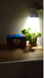 Lámpara Led Cultivo Indoor 18W - comprar online
