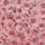 papel tapiz flores