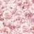 papel tapiz rosas