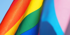Banner de la categoría BANDERAS