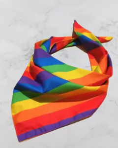 Bandana Arcoíris - tienda online