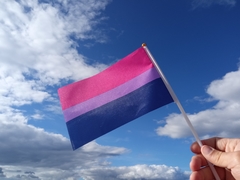 Banderita Bisexual - comprar online