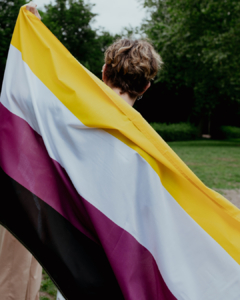 Bandera No Binaria - comprar online
