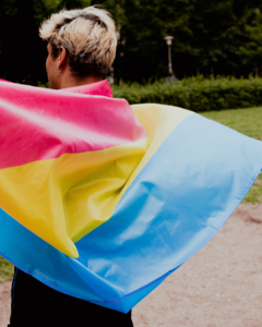 Bandera Pansexual