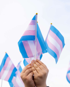 Banderita Trans