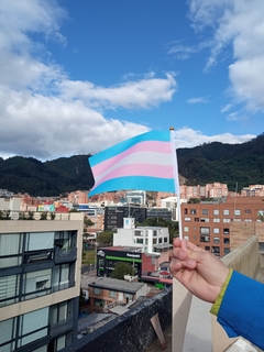Banderita Trans - comprar online