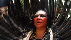 AULA 1 - Aula de Cantos Hushahu - comprar online