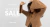 Banner rotativo 4