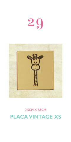 HyN Placa Vintage XS - 29